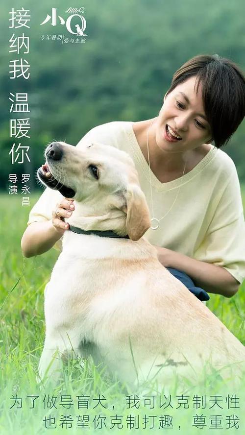 Natsional'nayavysshayashkolaekonomiki艺术文凭证书
